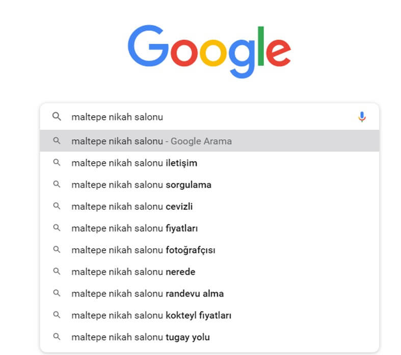 Google Arama Motoru